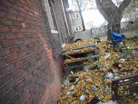 2447 Clements (18)_m.jpg